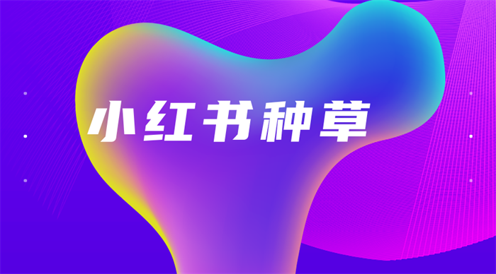 小红书种草2.png